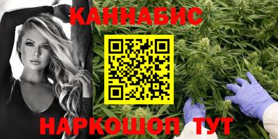 спайс Шелехов